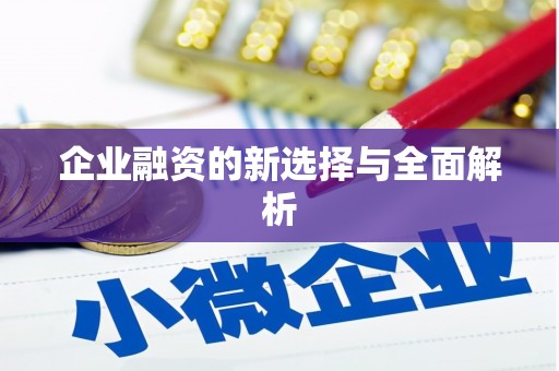 安仁企业融资的新选择与全面解析