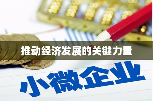 安仁推动经济发展的关键力量