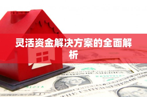 安仁灵活资金解决方案的全面解析