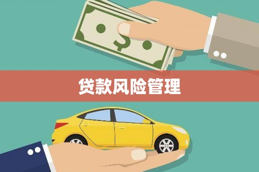 安仁贷款风险管理
