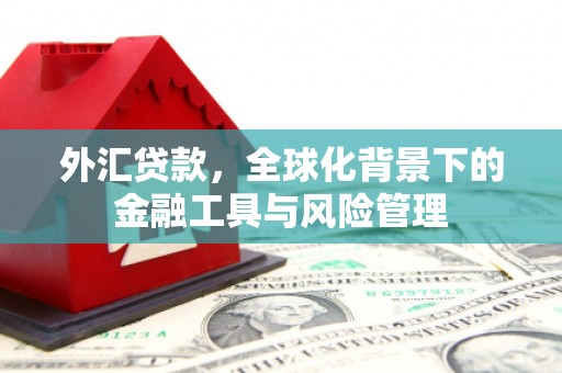 安仁外汇贷款，全球化背景下的金融工具与风险管理