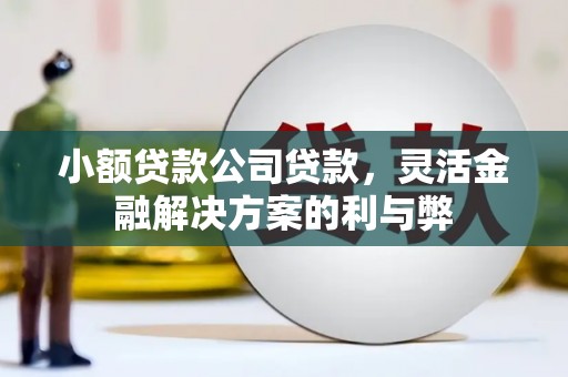 安仁小额贷款公司贷款，灵活金融解决方案的利与弊