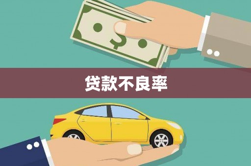 安仁贷款不良率